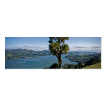 Bahía de desatención de Dunedin Plantillas De Tarjetas De Visita