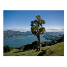 Bahía de desatención de Dunedin Tarjetas Postales