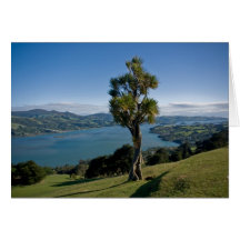 Bahía de desatención de Dunedin Tarjeton