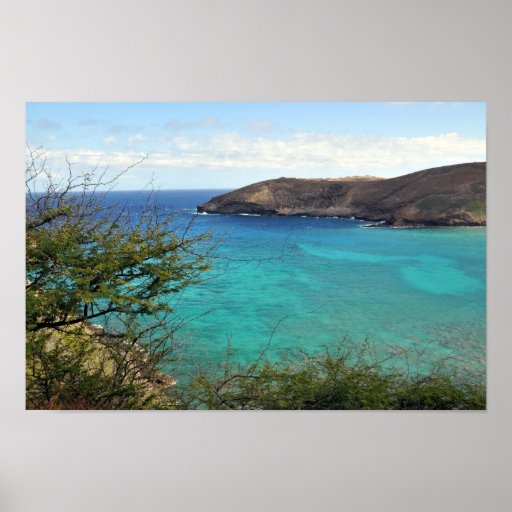 Bahía de Hanauma en el poster de Oahu
