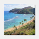Bahía de Hanauma, opinión de Honolulu, Oahu, Hawai Imán De Frigorifico