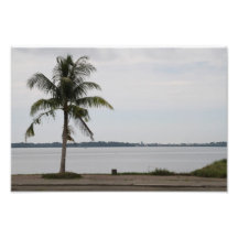 Bahía de San Pedro Impresiones Fotográficas