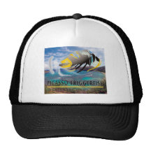Bahía Hawaii de Hanauma Gorra