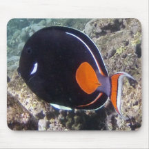 BAHÍA HAWAII de HANAUMA - pescados de Aquiles Tang Alfombrilla De Ratón