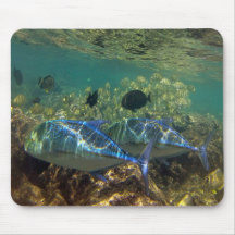 BAHÍA HAWAII de HANAUMA - pescados de Jack (Ulua) Alfombrillas De Ratones