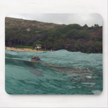 BAHÍA HAWAII de HANAUMA - tortuga de mar de Hawaii Alfombrilla De Ratón