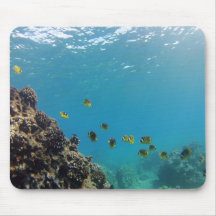 Bahía Hawaii - pescado de Hanauma de la mariposa d Alfombrilla De Ratón