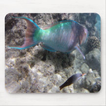 BAHÍA HAWAII - pescado de HANAUMA del loro Alfombrillas De Ratón
