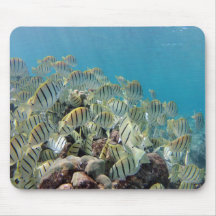 BAHÍA HAWAII - sabores del Convict (Manini) de HAN Alfombrillas De Ratones