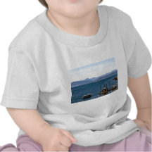 Bahía inglesa Aquabus Camiseta