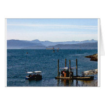 Bahía inglesa Aquabus Tarjeta