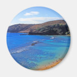 Bahía profunda de Hanauma, Honolulu, Oahu Imán Para Frigorifico