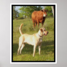 BAILEY Y LA VACA IMPRESIONES