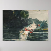 Bajo negro de tamaño natural de Winslow Homer Poster