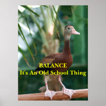 BALANZA POSTER