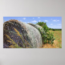 Balas y campo de heno poster