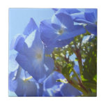 Baldosa cerámica del Hydrangea azul Azulejos