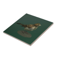 Baldosa cerámica del pequeño pájaro desaliñado tejas  ceramicas