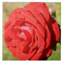 Baldosa cerámica romántica del rosa rojo tejas