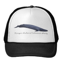 Ballena azul gorras