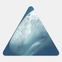 Ballena blanca calcomanías triangulos