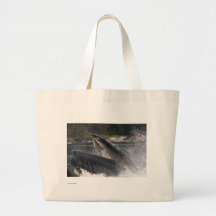 Ballena Bolsa