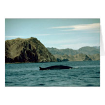 Ballena de aleta felicitacion 