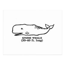 Ballena de esperma postal