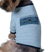 Ballena en el Pacífico Camisa De Mascota