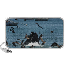 Ballena en el Pacífico Laptop Altavoces