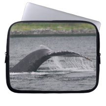 ballena funda ordendadores