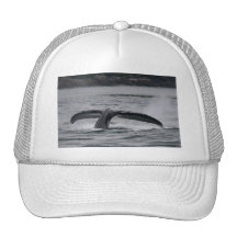 ballena gorros  