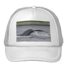 ballena gorros bordados