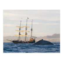 Ballena jorobada y nave postal