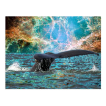 Ballena jorobada y supernova tarjetas postales