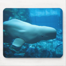 Ballena juguetona linda de la beluga en acuario en tapetes de ratón