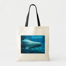Ballena juguetona linda de la beluga en acuario en bolsas