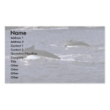 Ballena-pares del Humpback Plantillas De Tarjetas Personales
