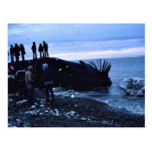 Ballena Tarjeta Postal