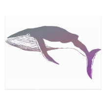 Ballena Tarjeta Postal