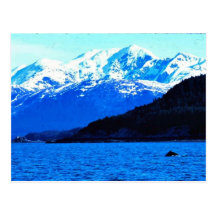 Ballena Tarjetas Postales