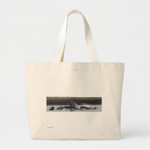Ballenas Bolsa