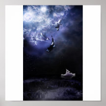 Ballenas Posters