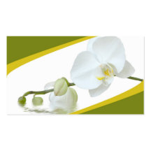 Balneario de la orquídea tarjetas de visita
