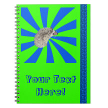 ¡BAM! Cuaderno ver.1 del erizo