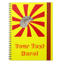 ¡BAM! Cuaderno ver.2 del erizo