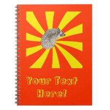 ¡BAM! Cuaderno ver.3 del erizo