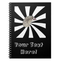 ¡BAM! Cuaderno ver.4 del erizo