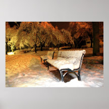 Banco de la nieve poster