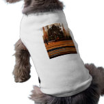 Bancos de 1 de los Corinthians iglesia del 3:16 Camiseta De Perro